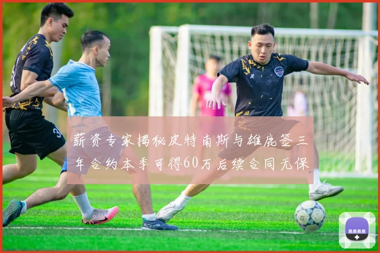 薪资专家揭秘皮特南斯与雄鹿签三年合约本季可得60万后续合同无保障