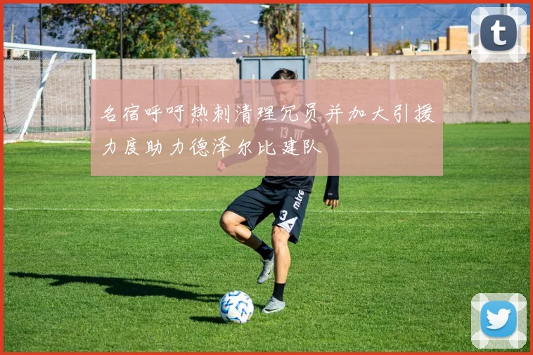 名宿呼吁热刺清理冗员并加大引援力度助力德泽尔比建队