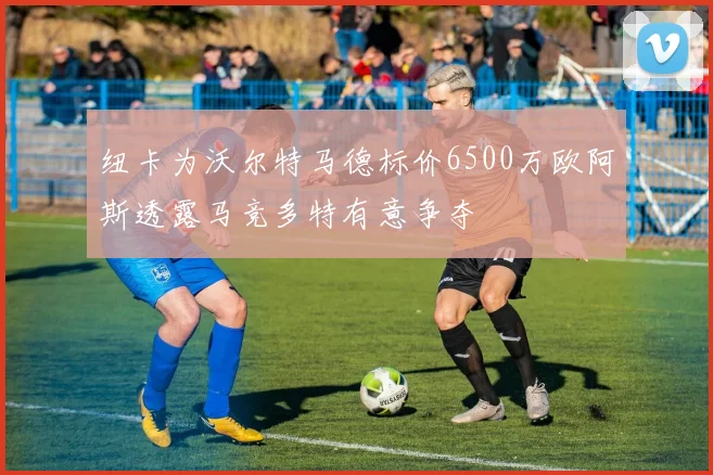 纽卡为沃尔特马德标价6500万欧阿斯透露马竞多特有意争夺